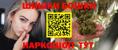 индика Заводоуковск
