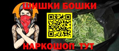 индика Заводоуковск