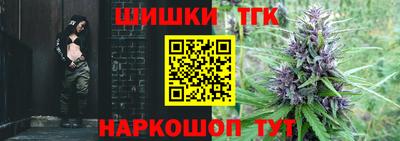 индика Заводоуковск