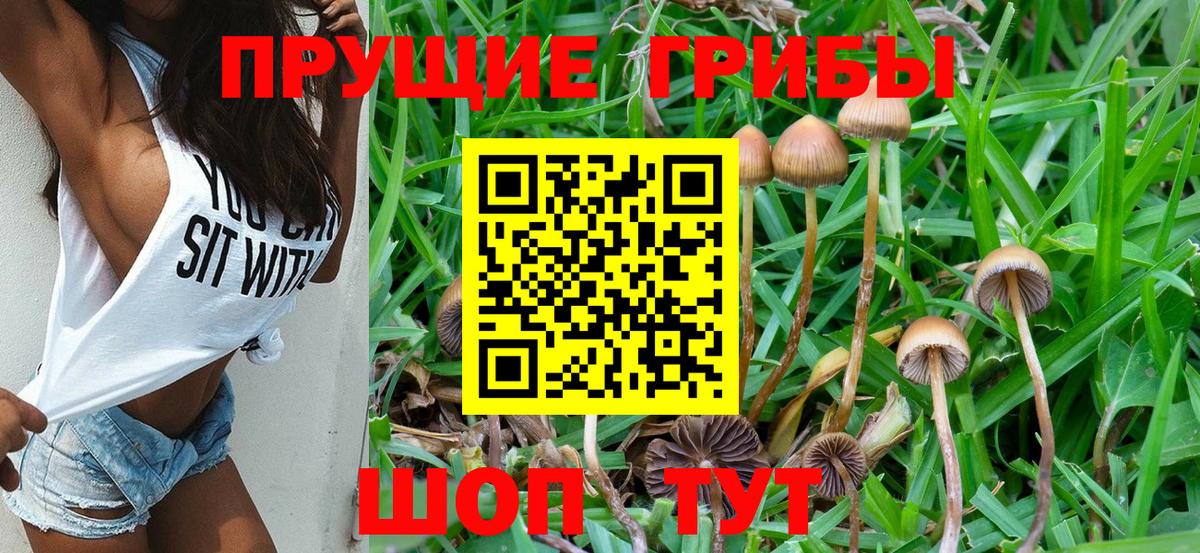 даркнет сайт  Вход с VPN  Муравленко  Галлюциногенные грибы Psilocybe 
